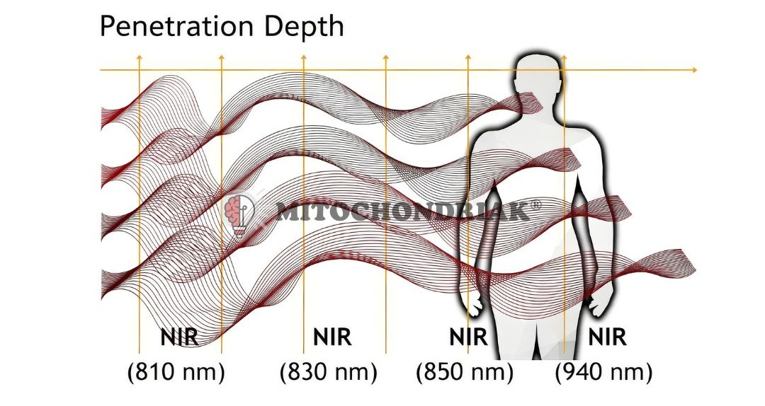 Mitochondriak® light therapy